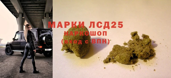 герыч Кедровый
