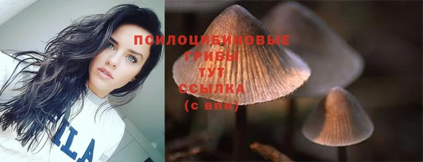 винт Осинники