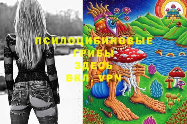 твердый Кизел