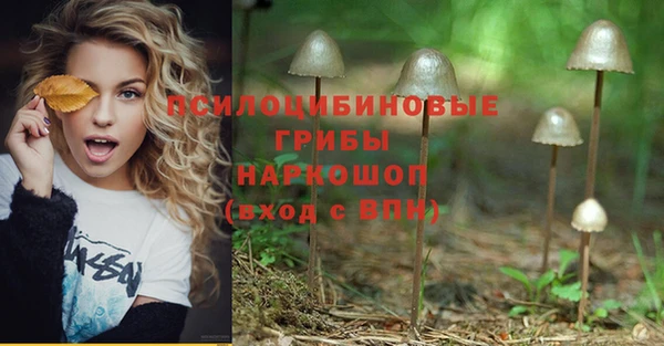 винт Осинники