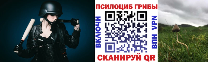 Галлюциногенные грибы MAGIC MUSHROOMS  цены   Ростов 