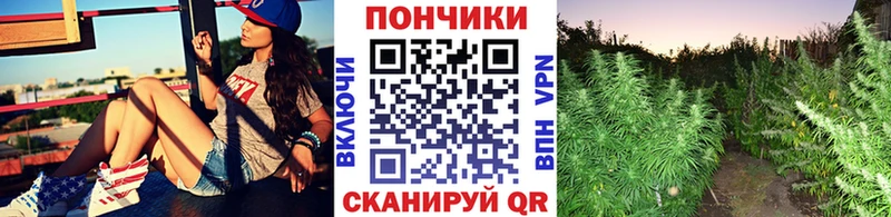 mega ссылка  Ростов  Бошки Шишки планчик  дарк нет как зайти  продажа наркотиков 